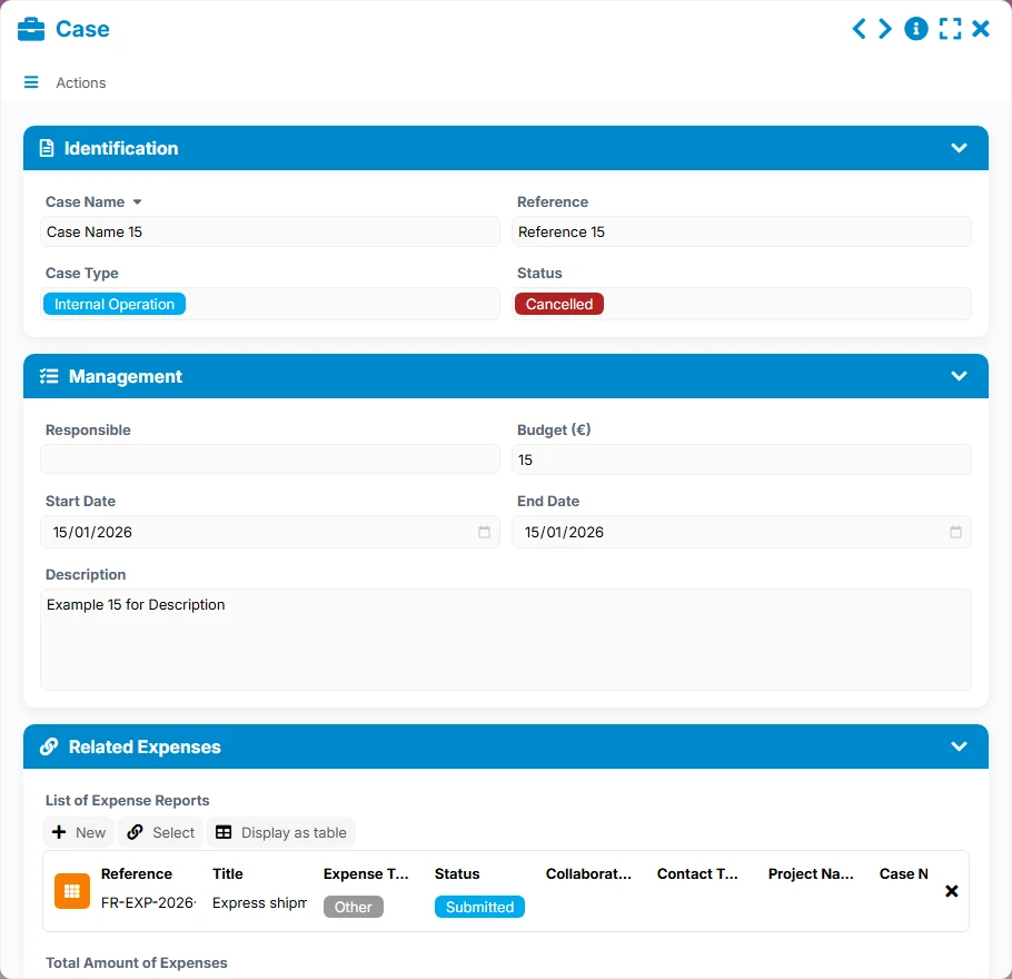 Expense Tracking - form preview