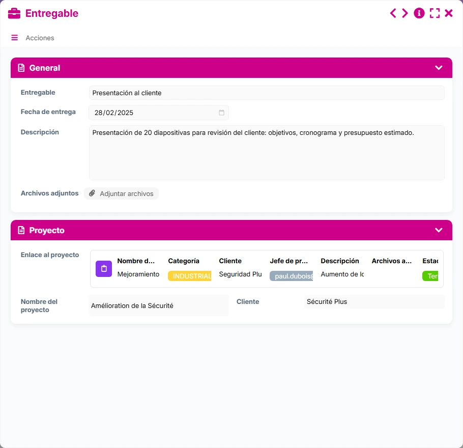 Seguimiento de proyectos - vista previa del formulario
