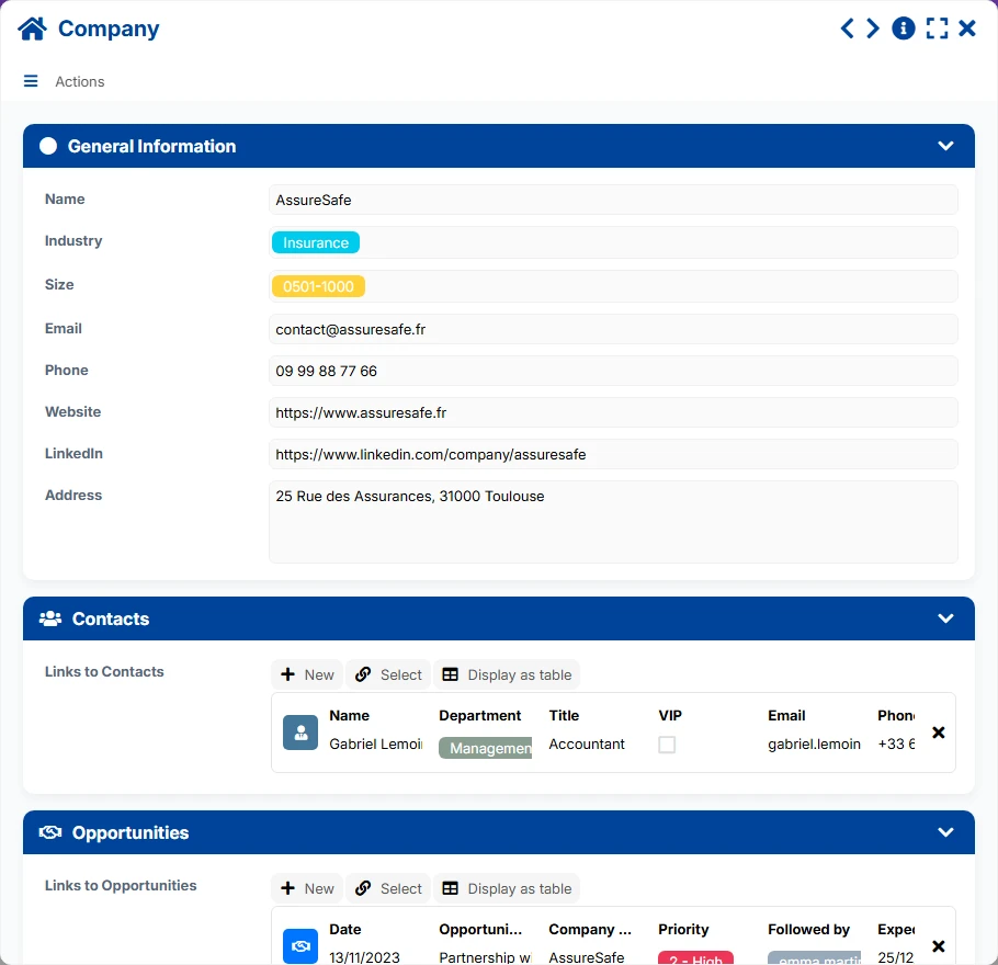 Prospecting CRM - form preview